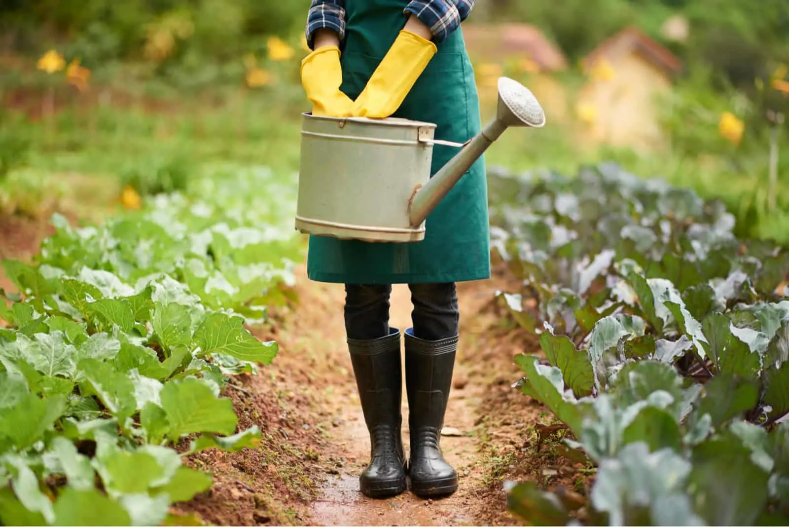 woman wearing gumboots and apron holding watering pot in hands