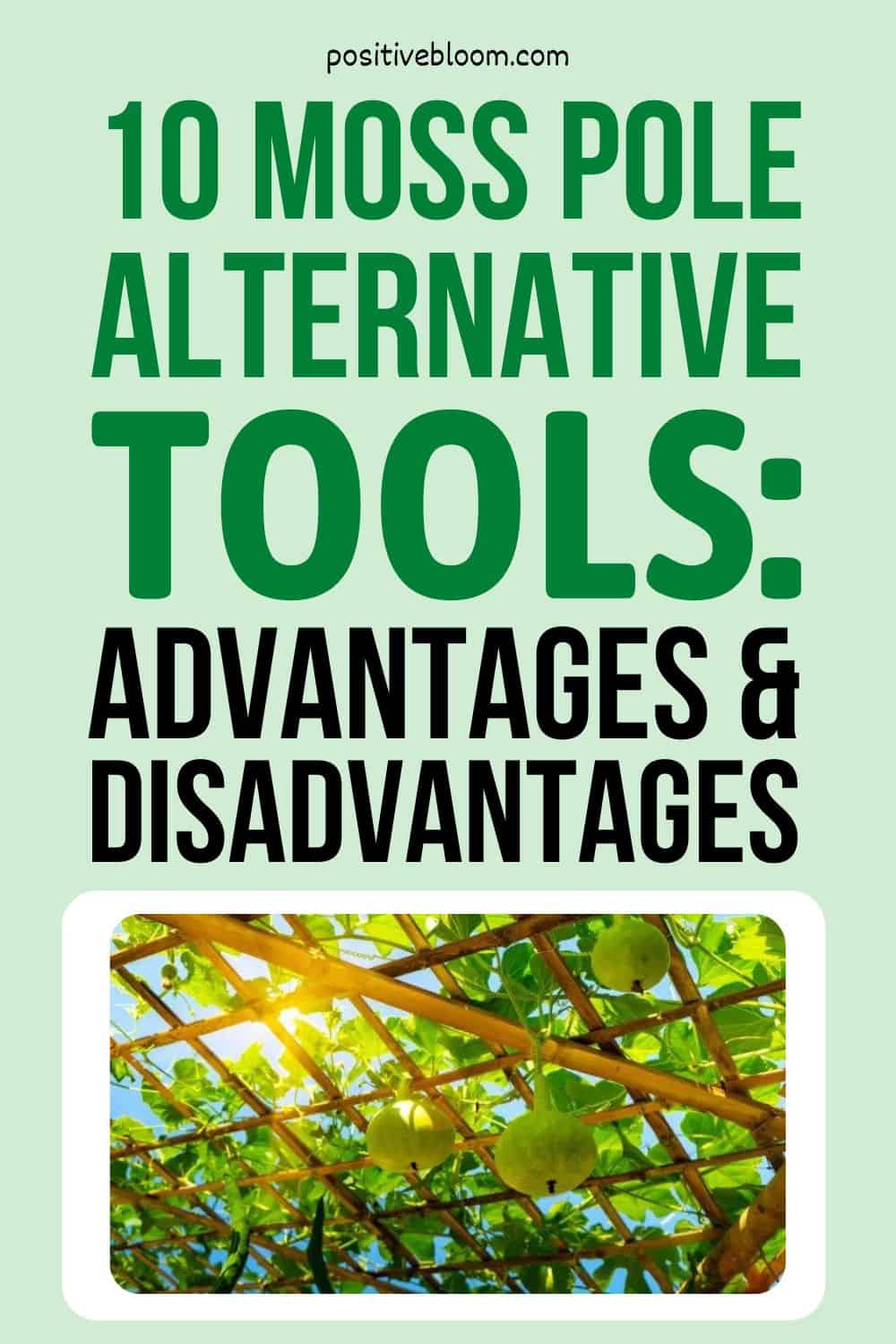 10 Moss Pole Alternative Tools Advantages And Disadvantages Pinterest