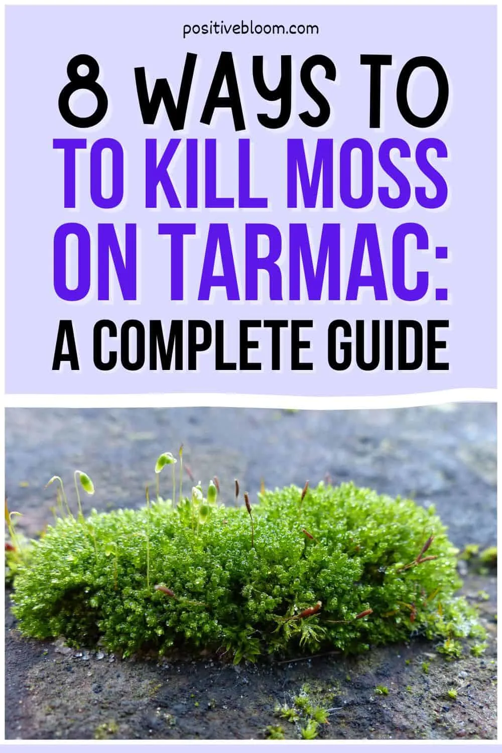 8 Ways To Kill Moss On Tarmac A Complete Guide Pinterest