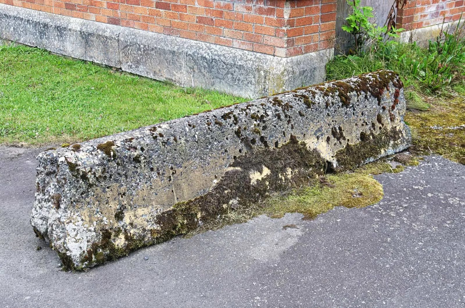 A concrete divider covered in green moss