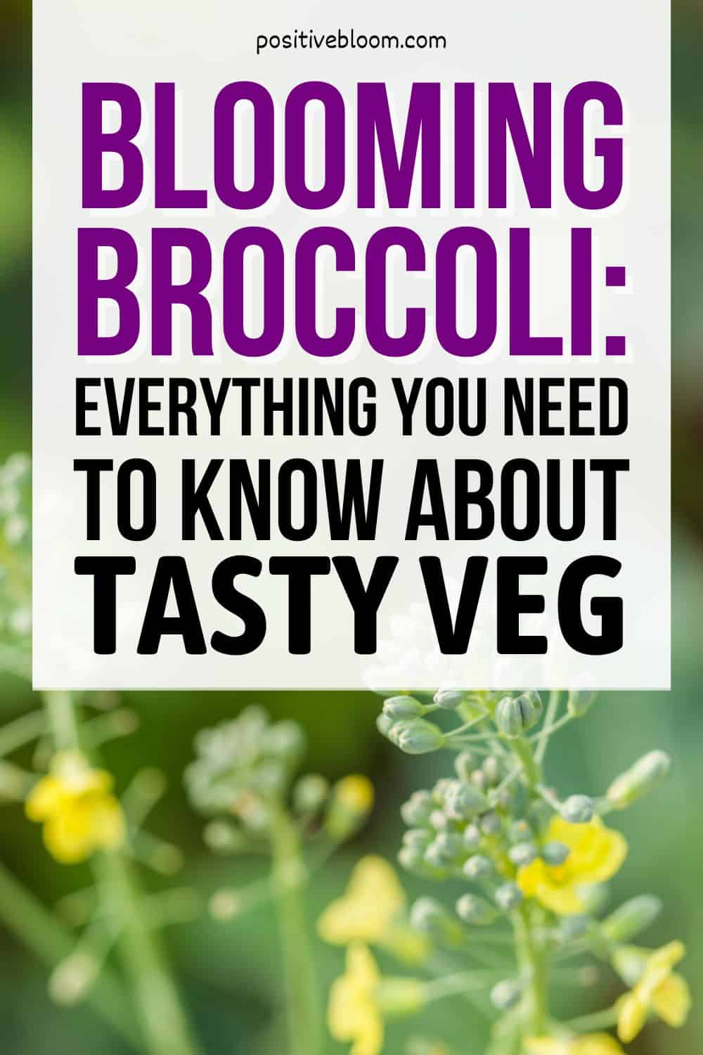 Blooming Broccoli All You Need To Know About This Tasty Veg Pinterest