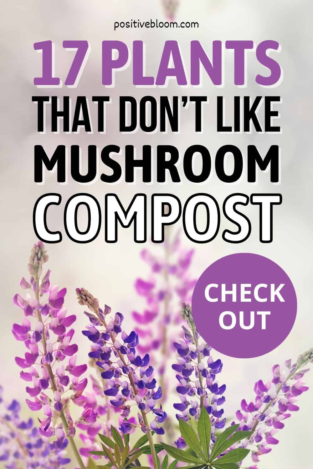 Check Out 17 Plants That Don’t Like Mushroom Compost Pinterest