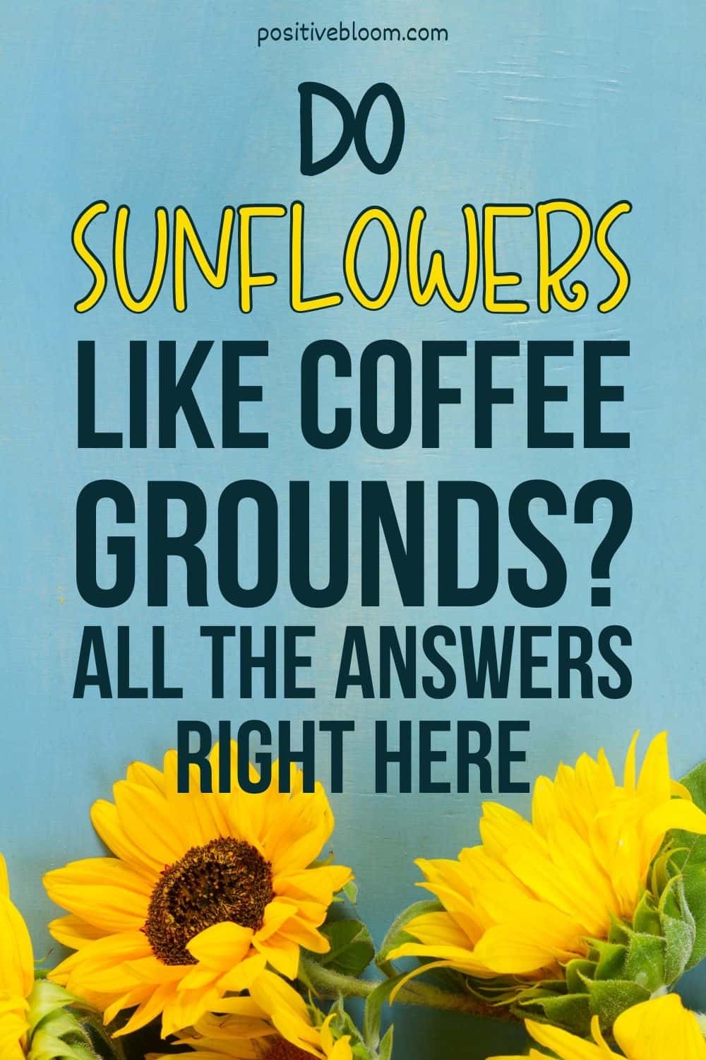 Do Sunflowers Like Coffee Grounds All The Answers Right Here Pinterest