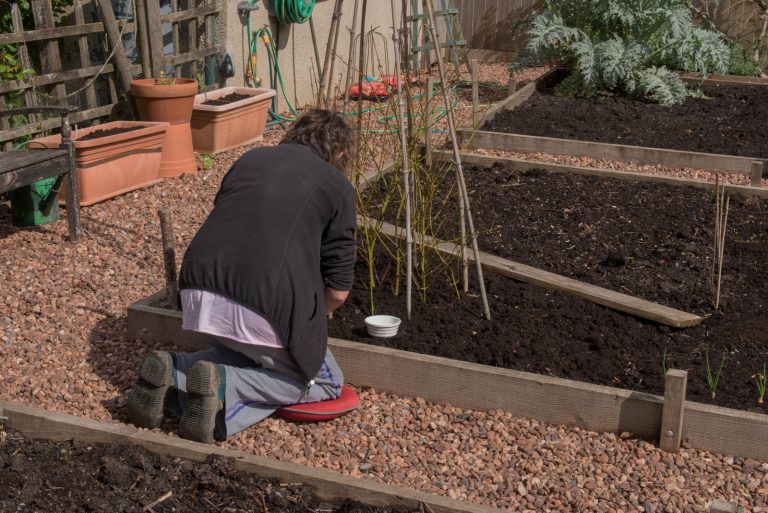 senior woman working in garden