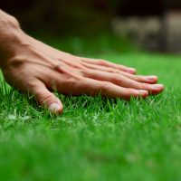 hand touching green lawn