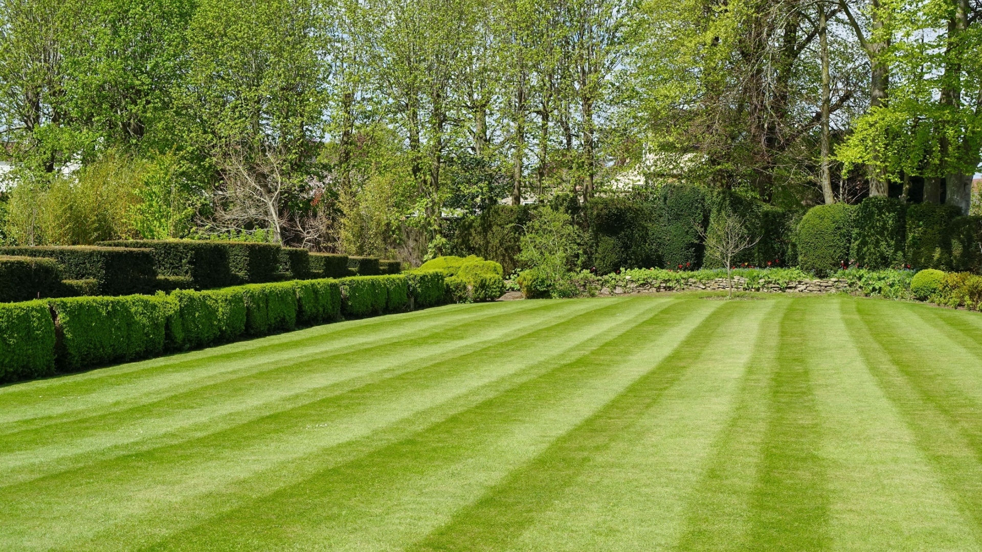 How To Make Lawn Green And Thick: Simple Methods And Handy Tips