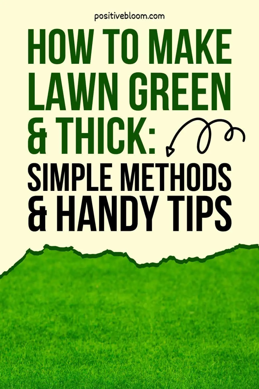 How To Make Lawn Green & Thick Simple Methods & Handy Tips Pinterest