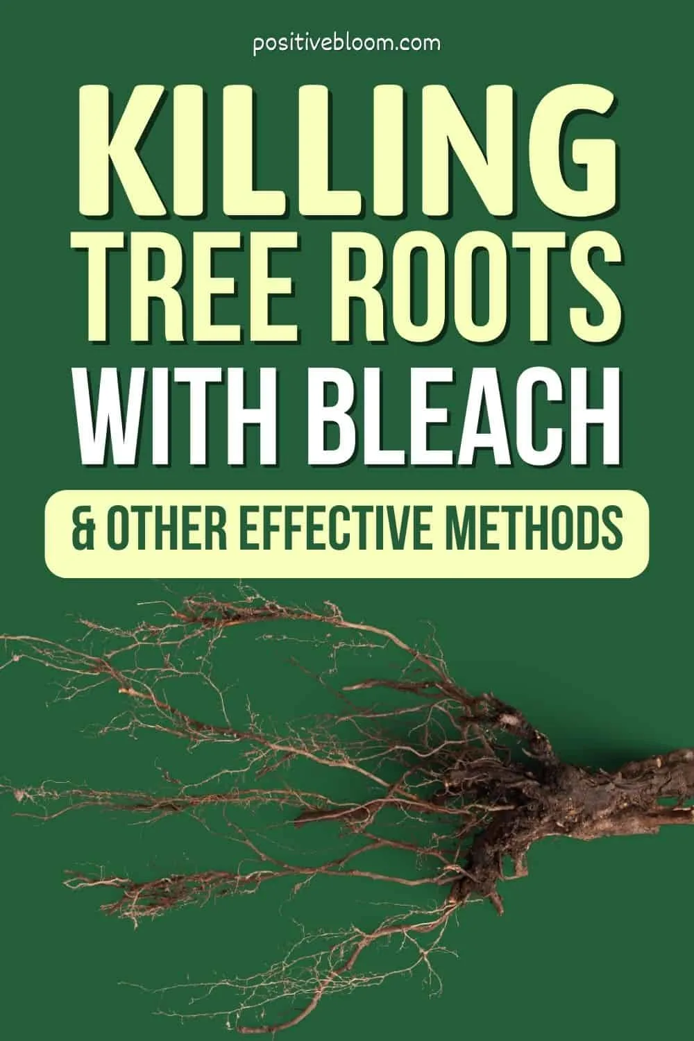 Killing Tree Roots With Bleach & Other Effective Methods Pinterest