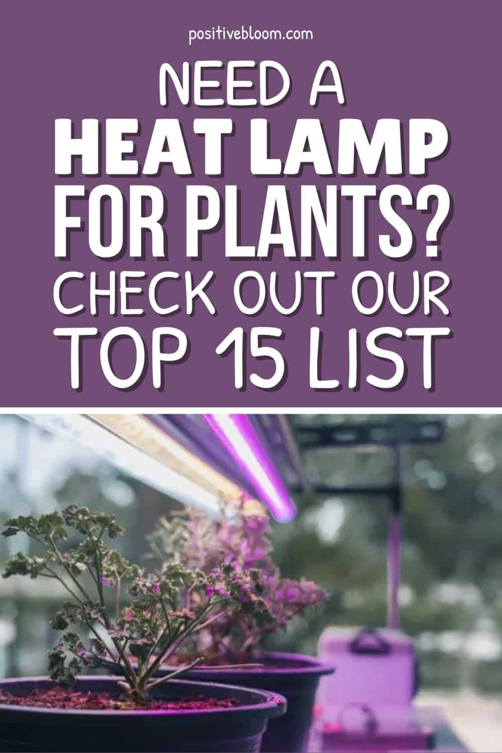 Need A Heat Lamp For Plants Check Out Our Top 15 List Pinterest