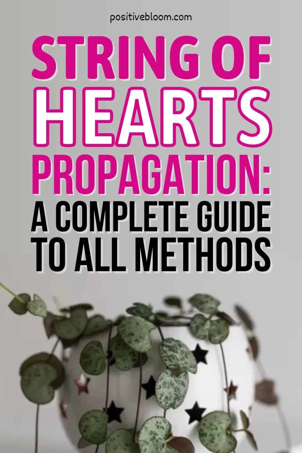 String Of Hearts Propagation A Complete Guide To All Methods Pinterest
