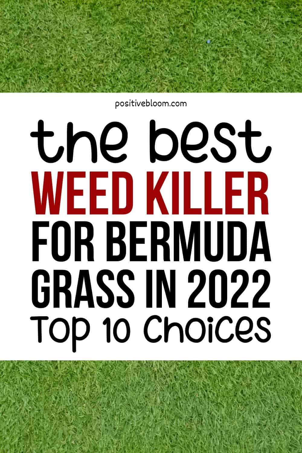 The Best Weed Killer For Bermuda Grass In 2022 Top 10 Choices Pinterest