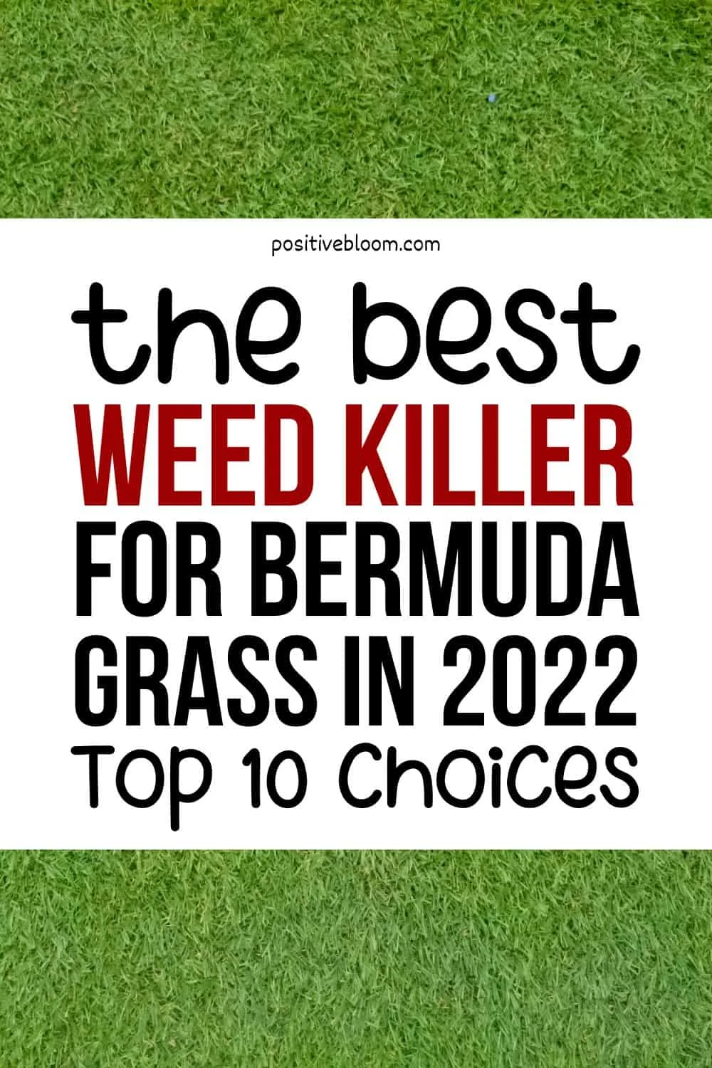 The Best Weed Killer For Bermuda Grass In 2022 Top 10 Choices Pinterest