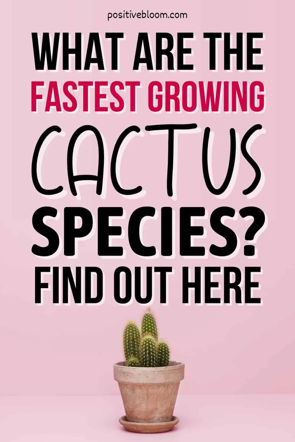 What Are The Fastest Growing Cactus Species Find Out Here Pinterest