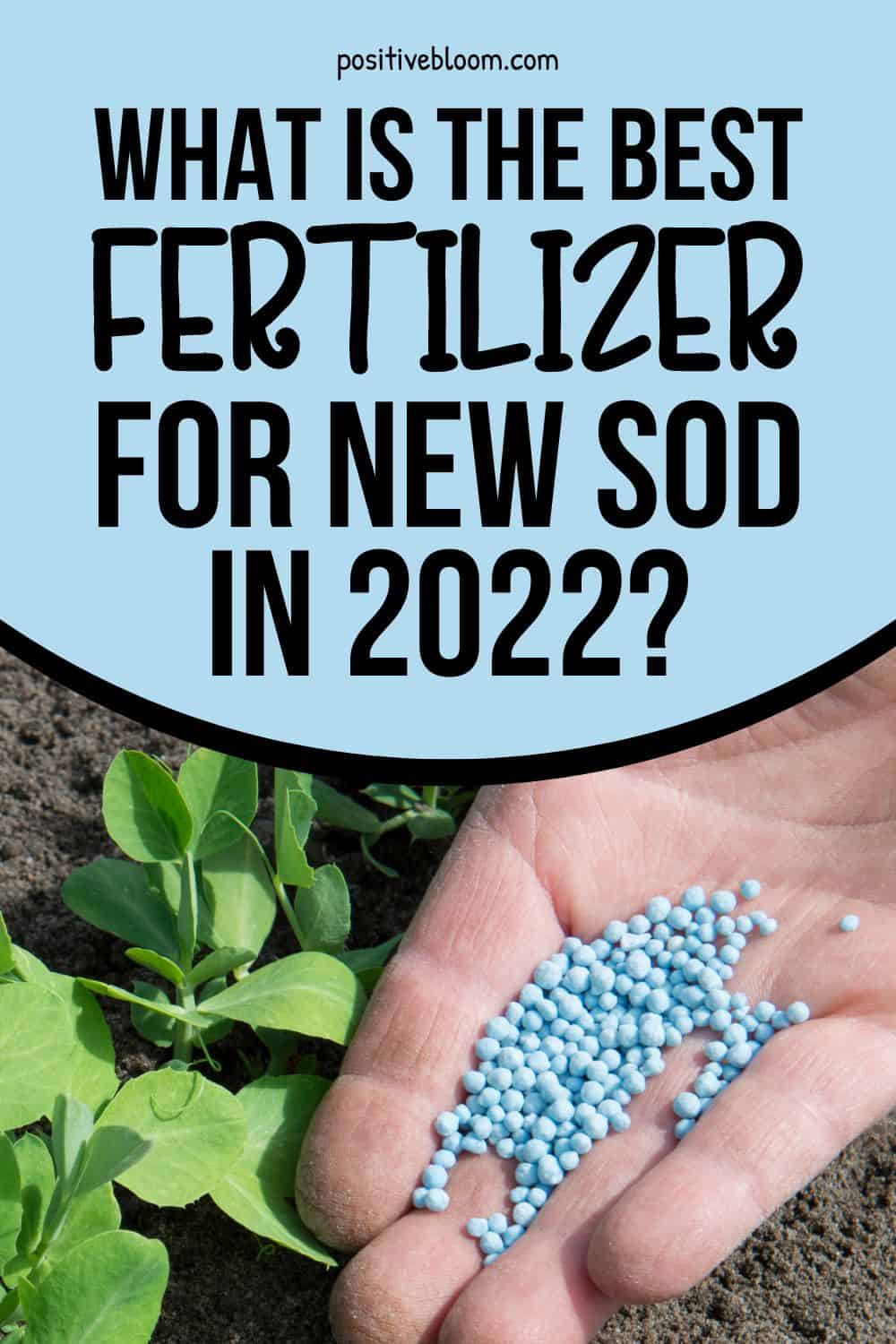 What Is The Best Fertilizer For New Sod In 2022 Check It Out Here Pinterest