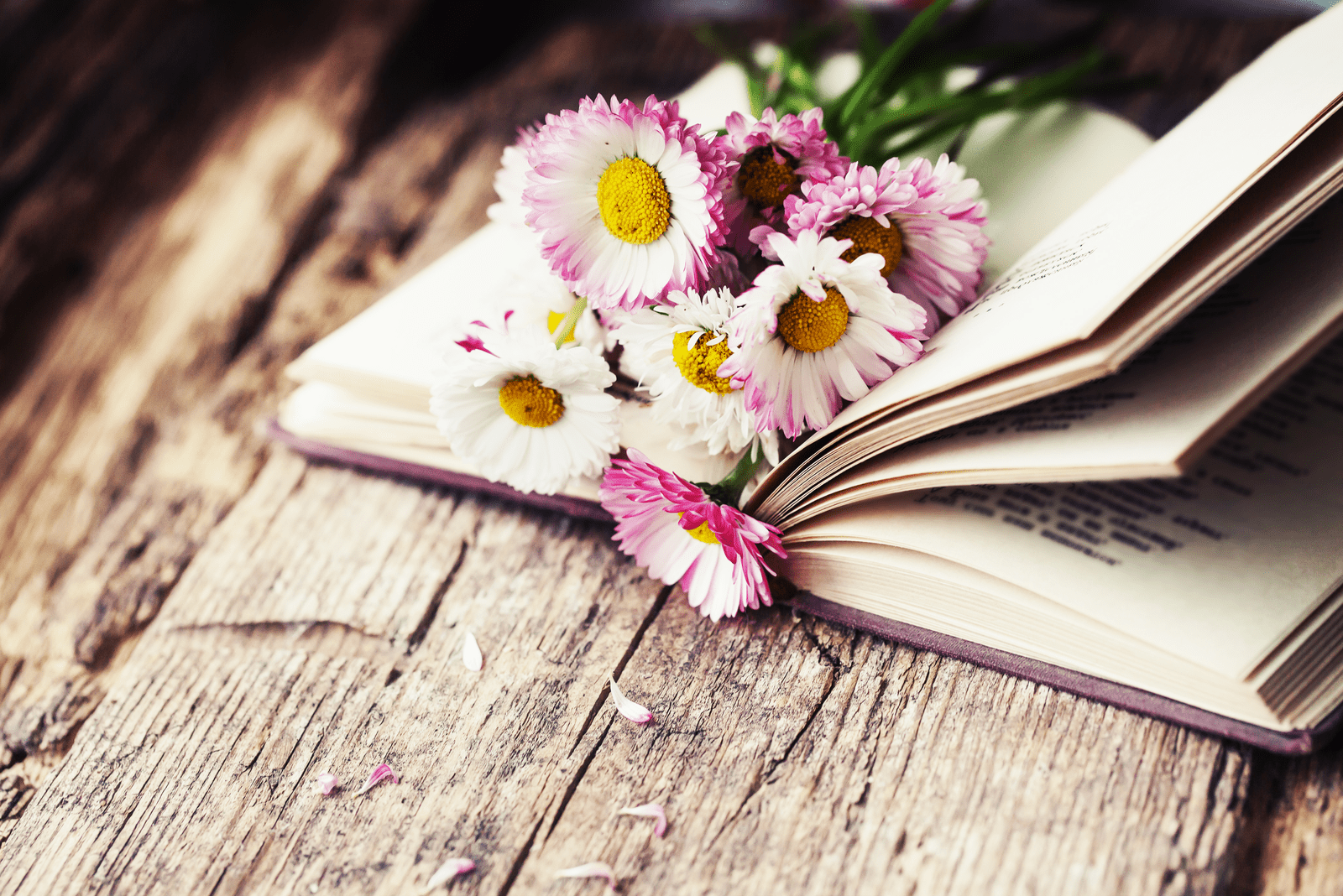 an open book with flowers on it