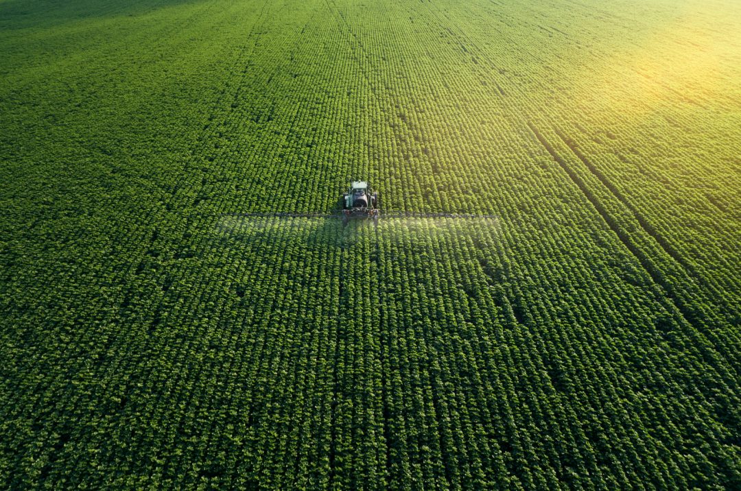 what-is-14-14-14-fertilizer-and-how-to-use-it
