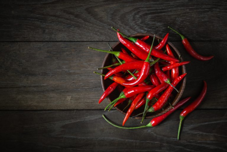 The Chilli Plant Growing Stages All You Need To Know