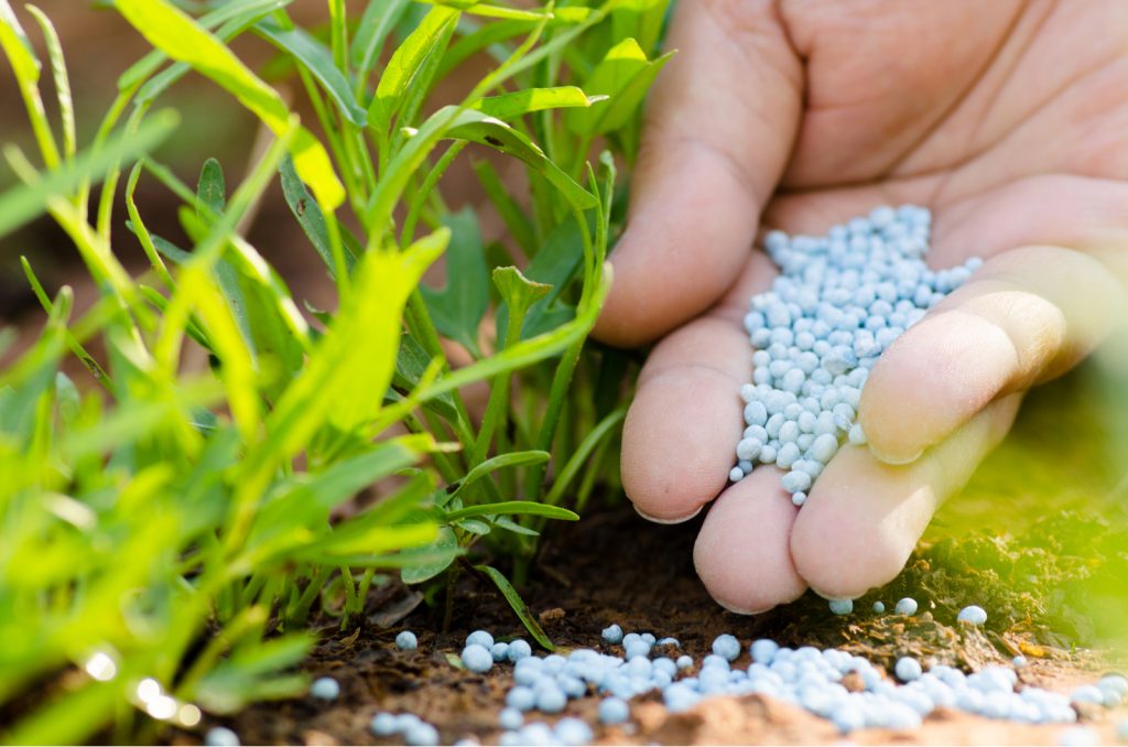 What Is 14 14 14 Fertilizer And How To Use It