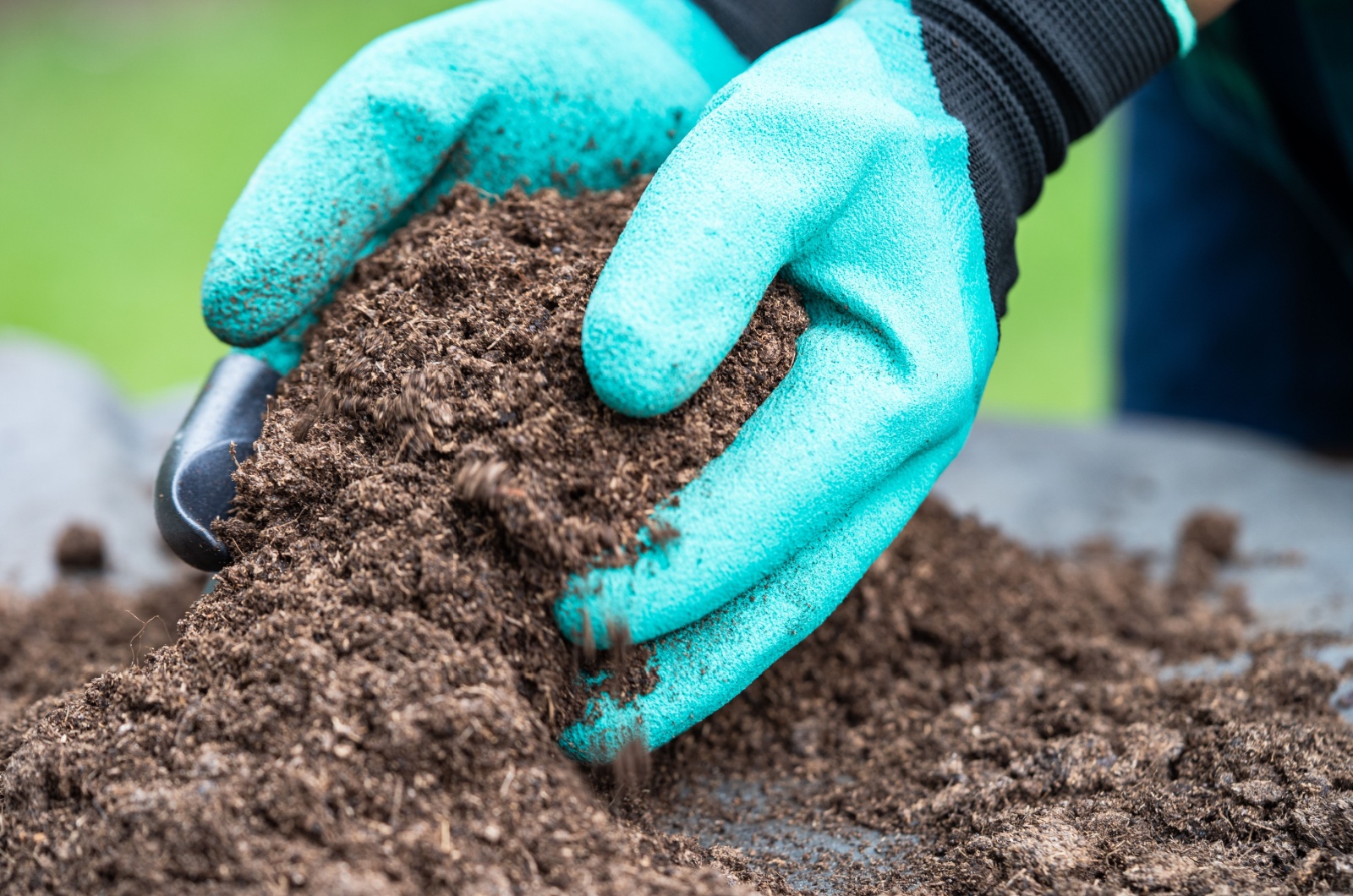 hands holding soil