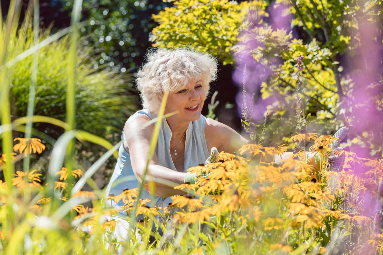older woman cutting flowers in garden