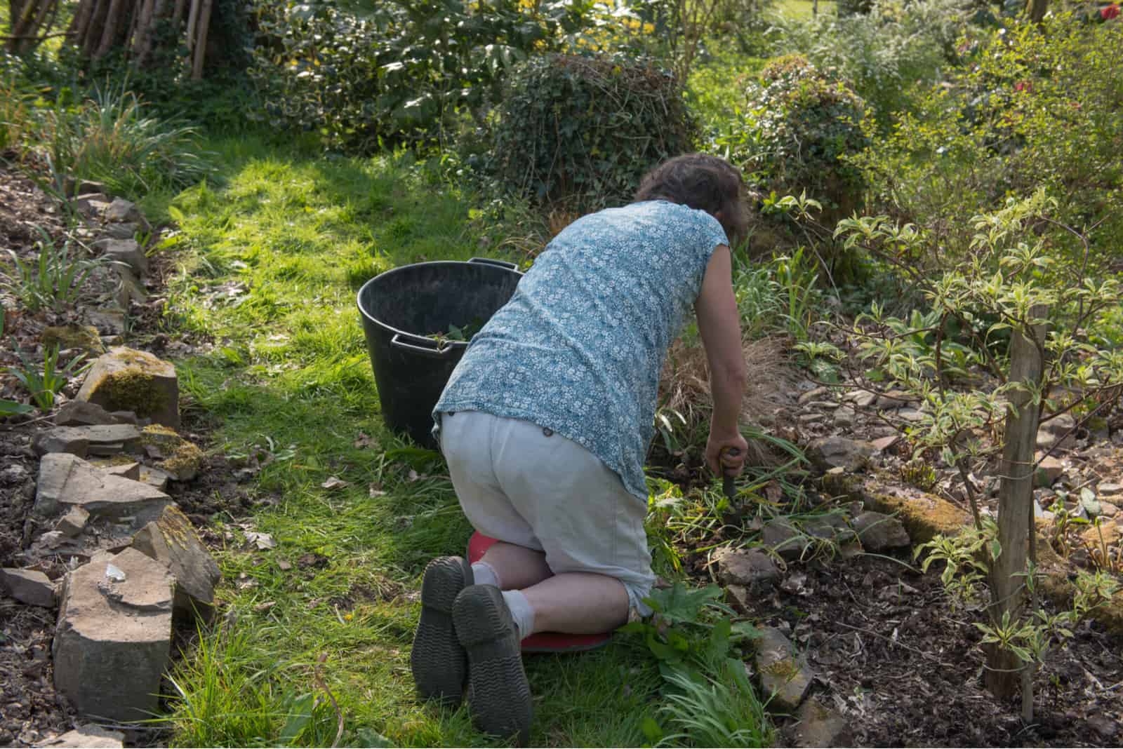 senior woman working in garden