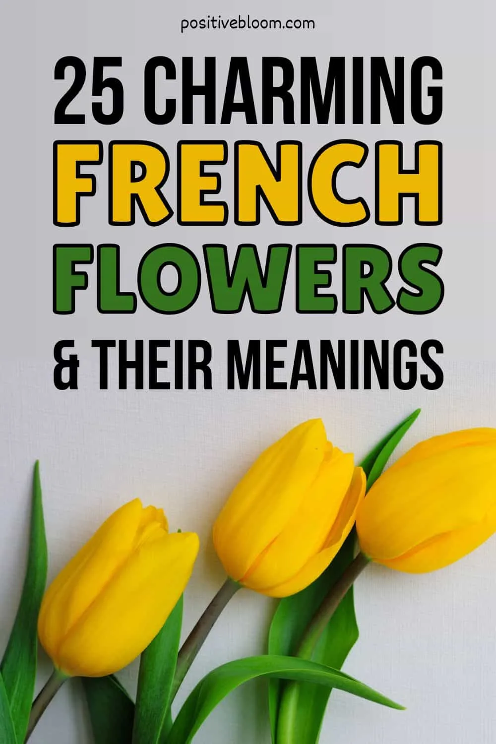 25 Charming French Flowers And Their Meanings Pinterest