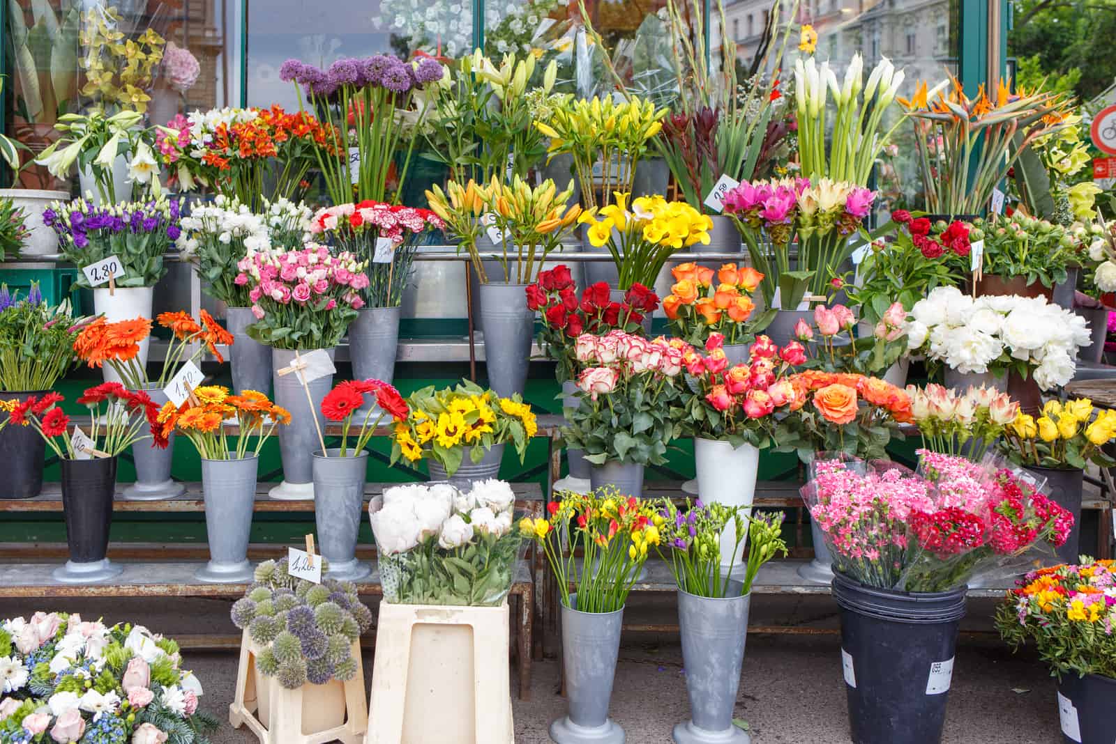 25 Charming French Flowers And Their Meanings