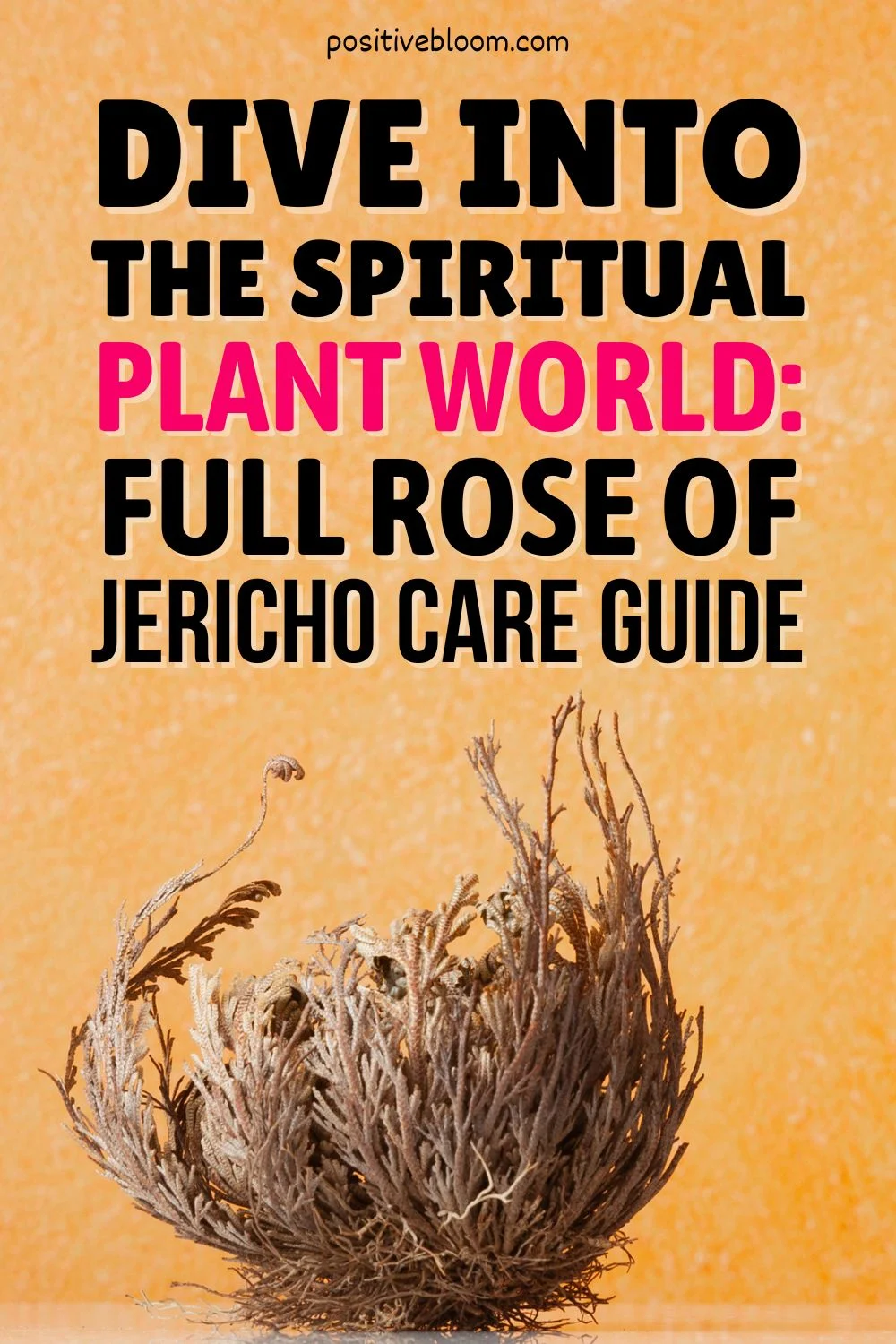 The Ultimate Guide to Rose of Jericho