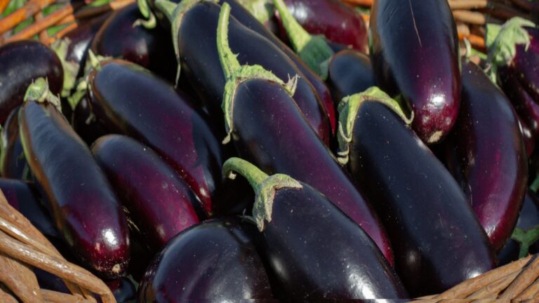 Eggplants