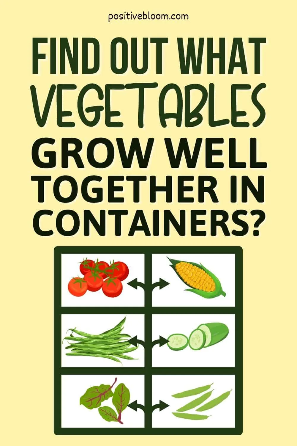 Find Out What Vegetables Grow Well Together In Containers Pinterest