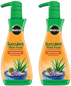Miracle-gro for succulents