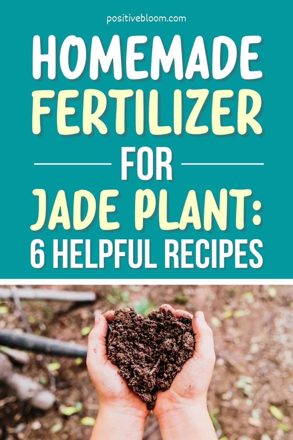Homemade Fertilizer For Jade Plant 6 Helpful Recipes Pinterest