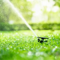 Automatic Garden Lawn sprinkler in action watering grass