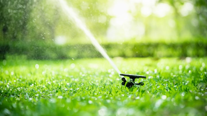 How Often To Water Grass Seed: Useful Tips And Tricks
