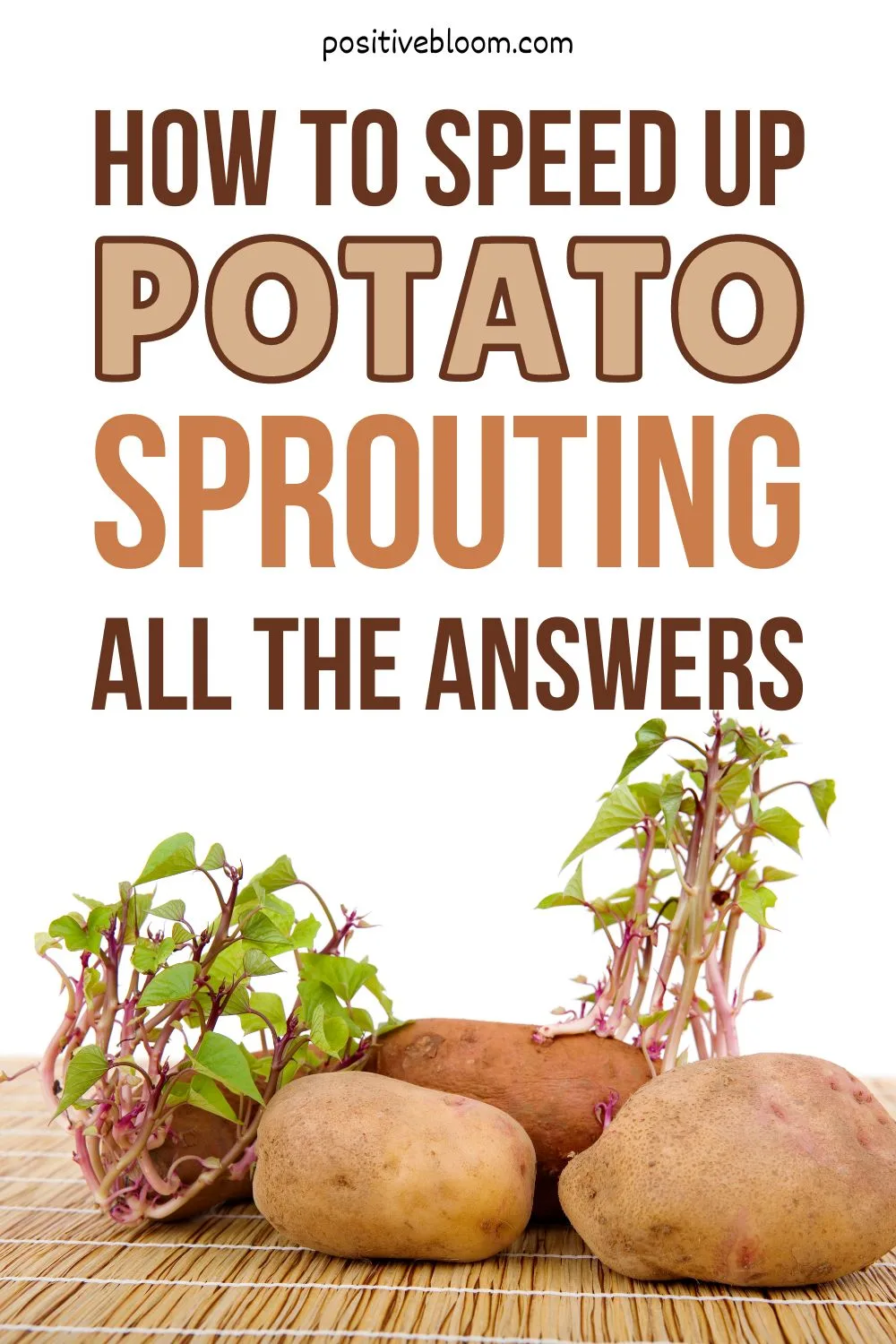 How To Speed Up Potato Sprouting All The Answers Pinterest