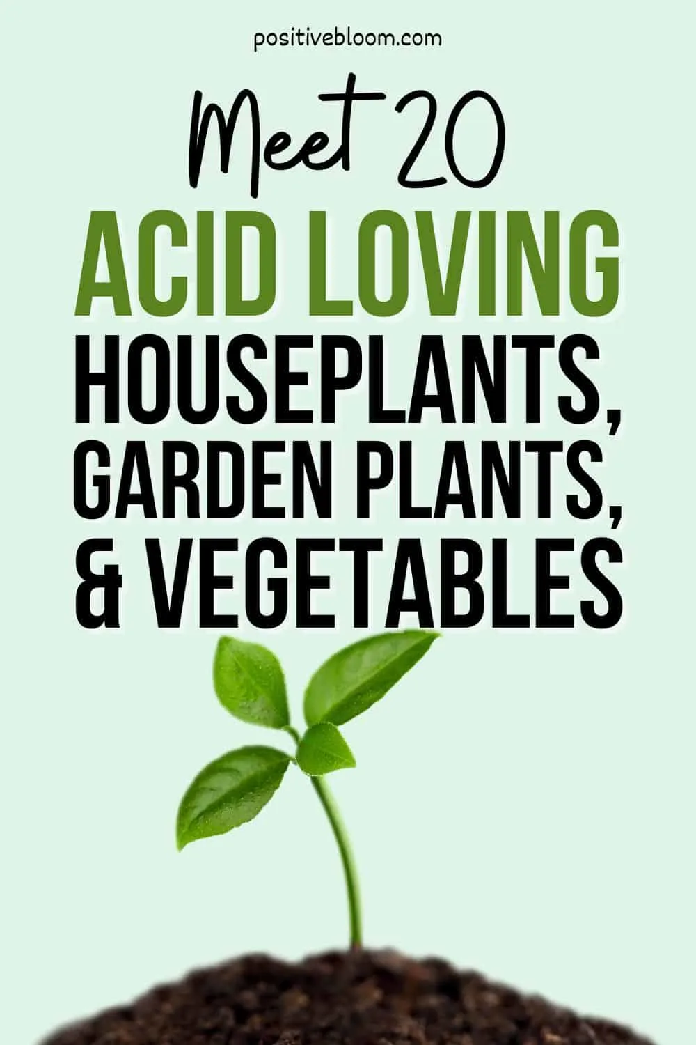 Meet 20 Acid Loving Houseplants, Garden Plants, And Vegetables Pinterest
