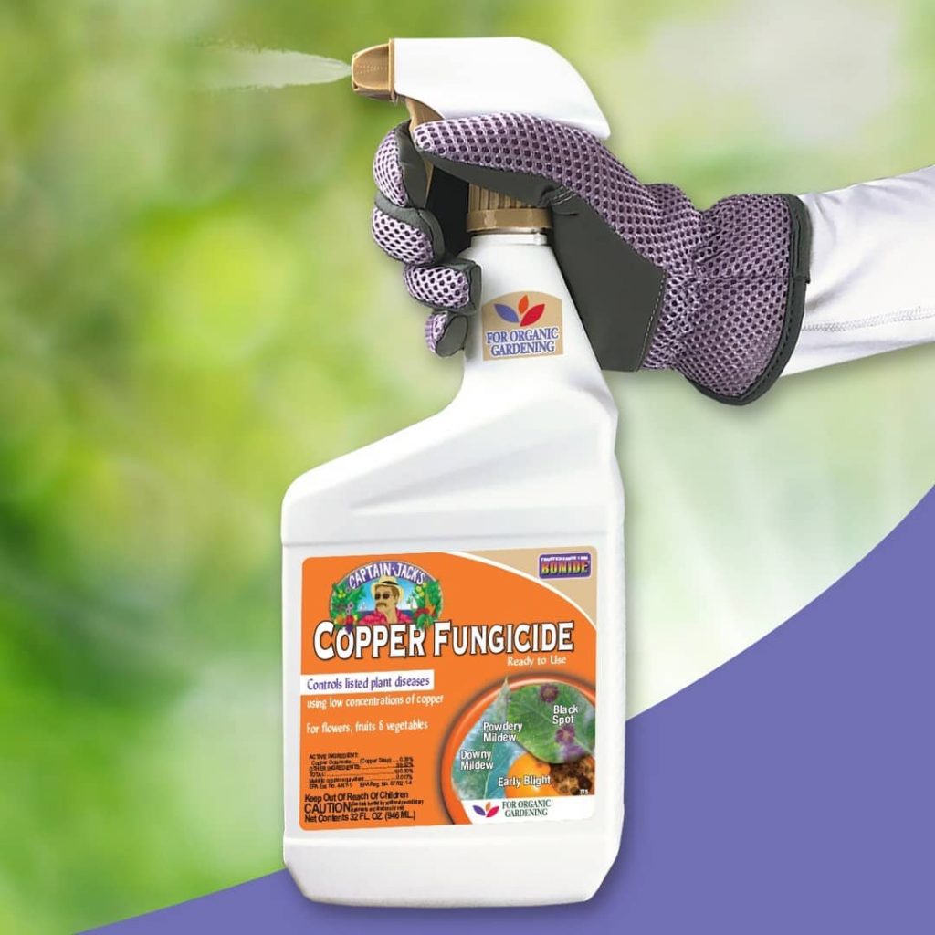 Copper Fungicide Vs Neem Oil What’s The Better Option?
