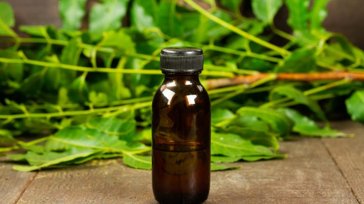 Neem Oil Burning Leaves: Why It Happens And How To Solve It
