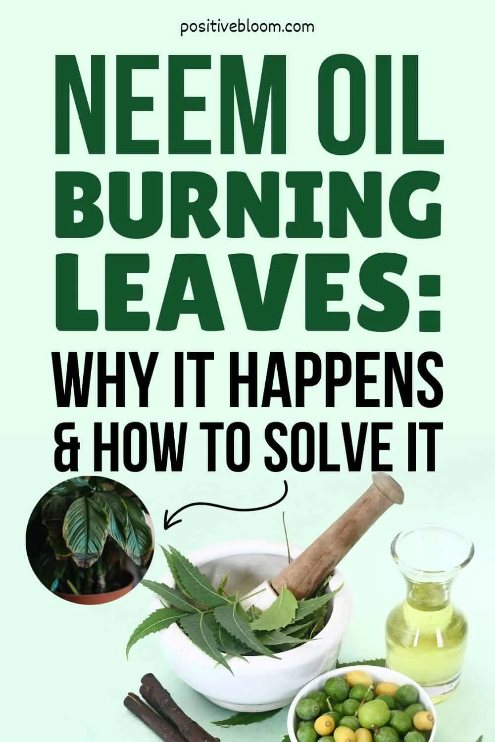 Neem Oil Burning Leaves Why It Happens And How To Solve It Pinterest