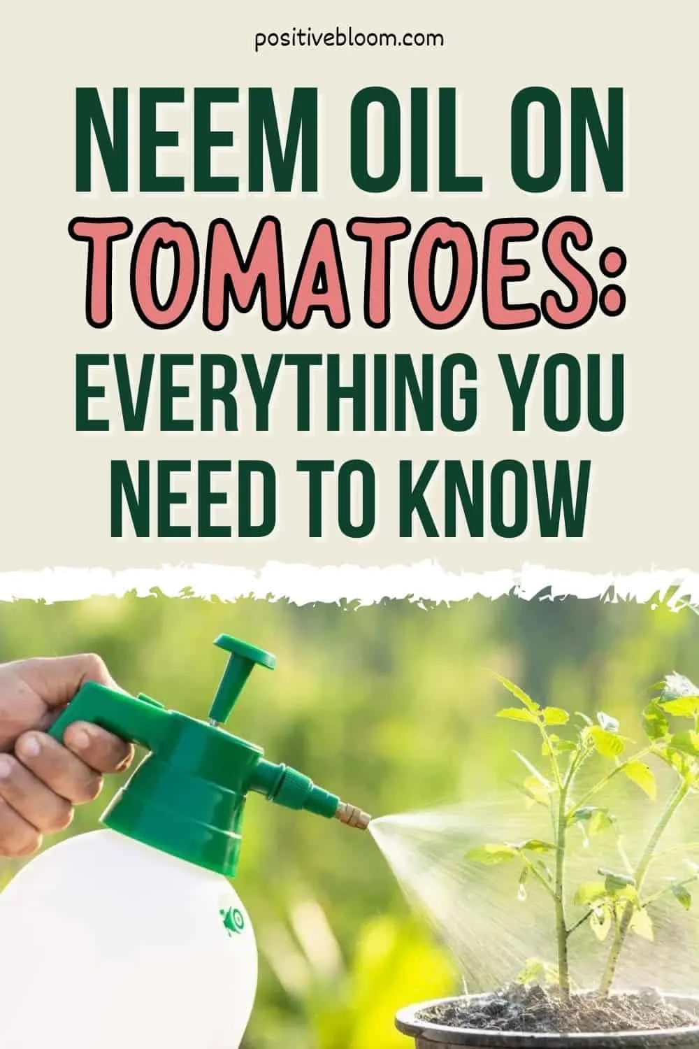 Neem Oil On Tomatoes Everything You Need To Know Pinterest