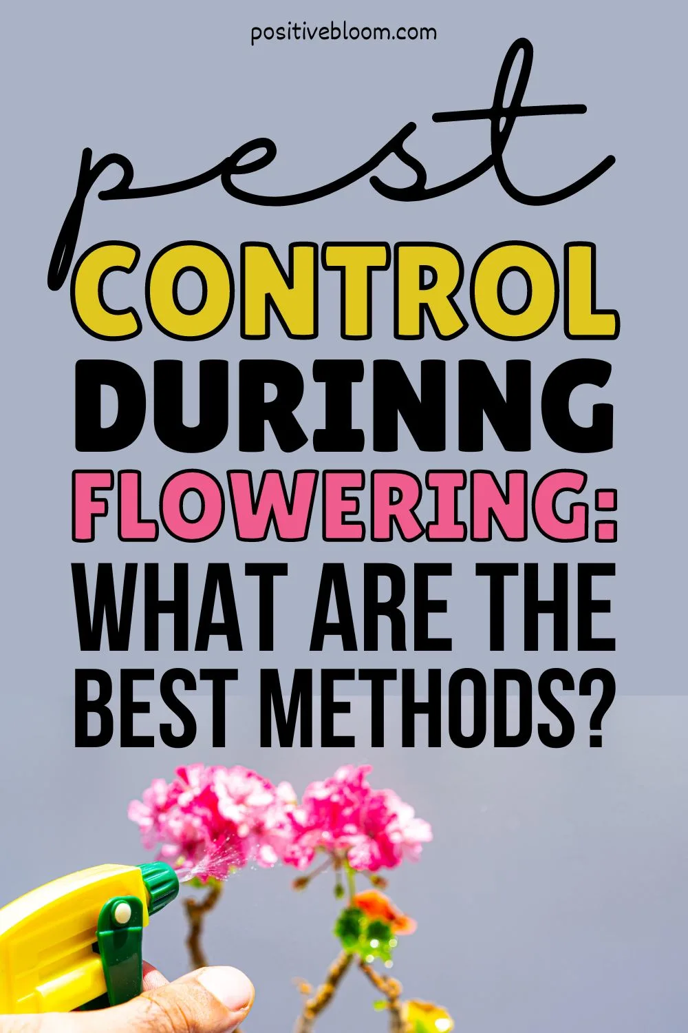Pest Control During Flowering What Are The Best Methods Pinterest