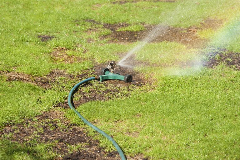 How Often To Water Grass Seed: Useful Tips And Tricks