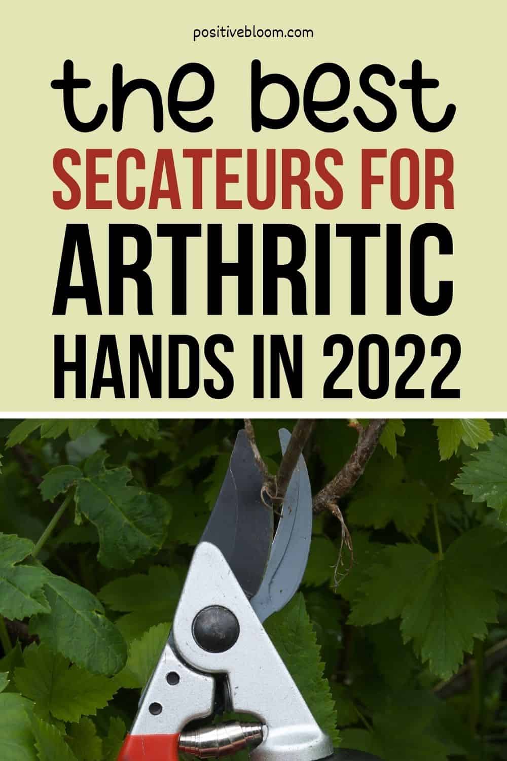 The Best Secateurs For Arthritic Hands In 2022 Pinterest