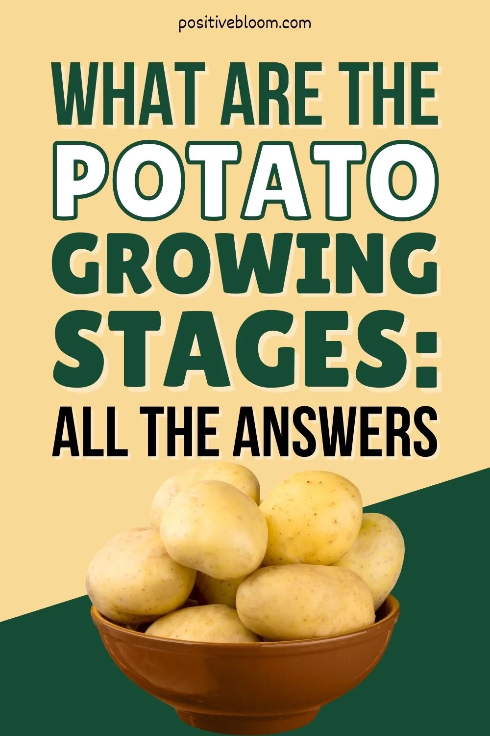 What Are The Potato Growing Stages All The Answers And More Pinterest