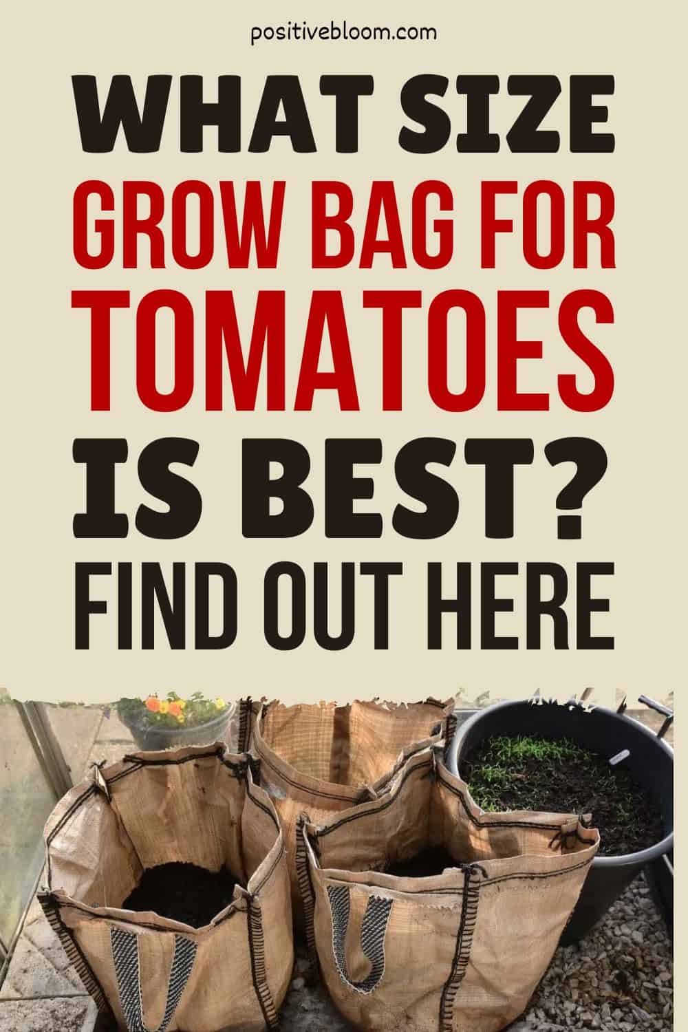 What Size Grow Bag For Tomatoes Is Best Find Out Here Pinterest