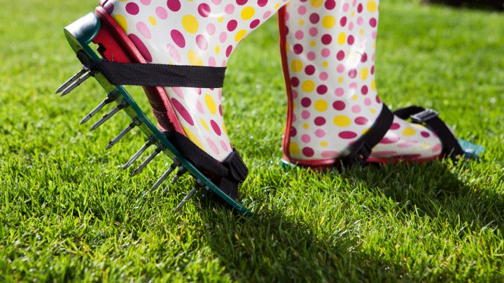 What To Do After Aerating Lawn: 7 Useful Tips And Tricks