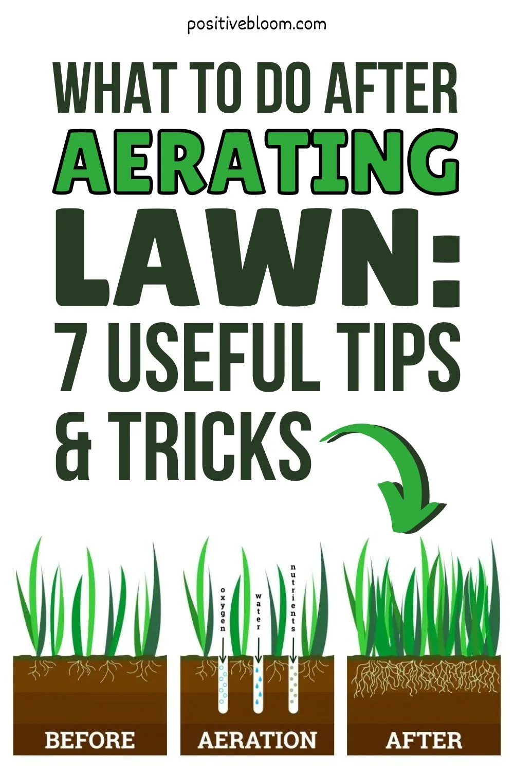 What To Do After Aerating Lawn 7 Useful Tips And Tricks Pinterest