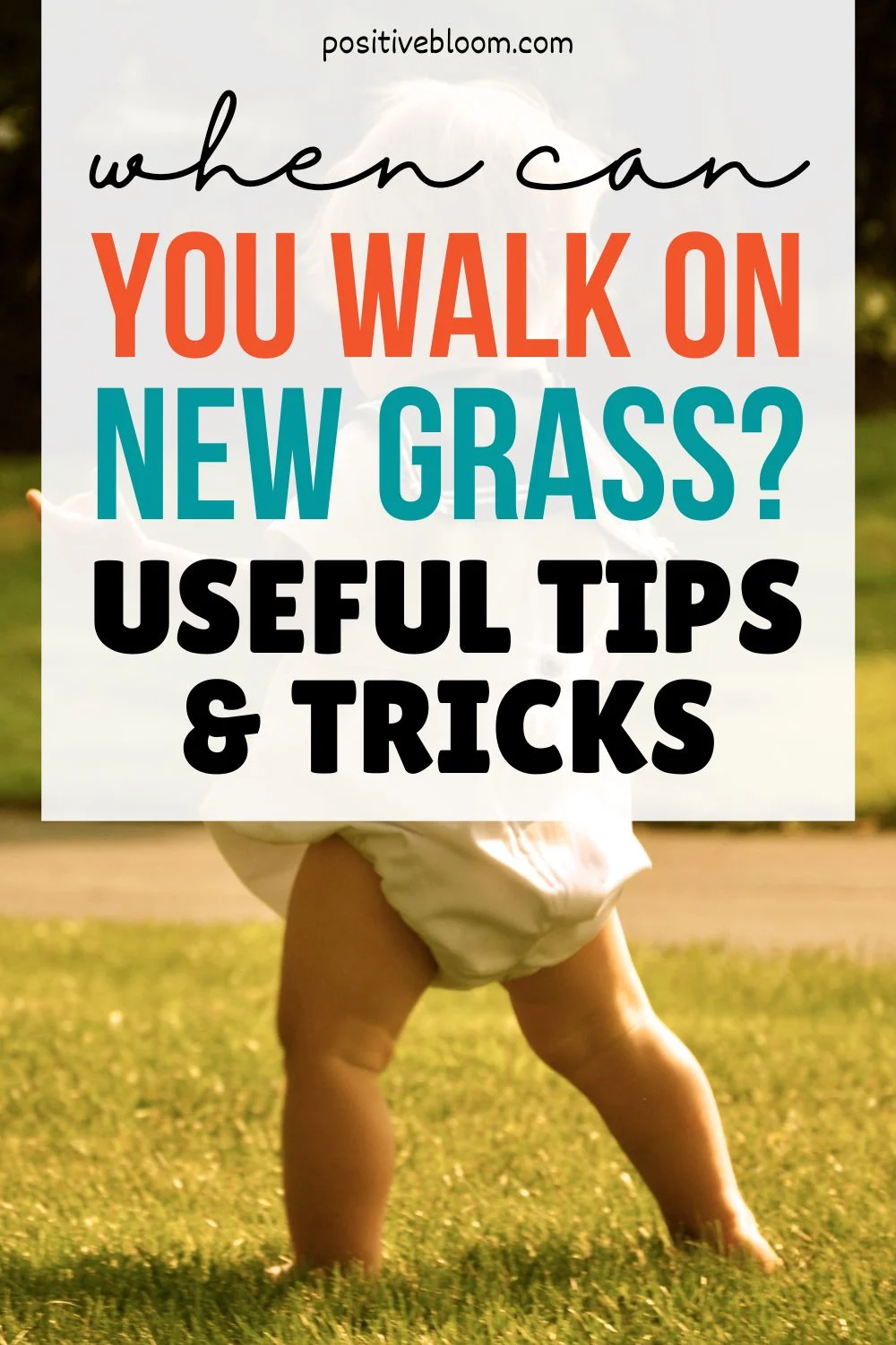 When Can You Walk On New Grass Useful Tips & Tricks Pinterest