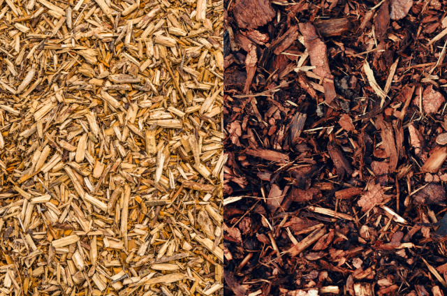 Wood Chips Vs Mulch: Which One Is Better For Your Garden?