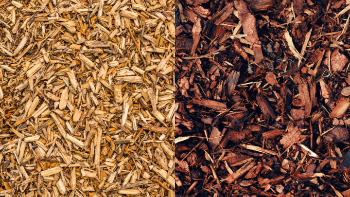 Wood Chips Vs Mulch: Which One Is Better For Your Garden?